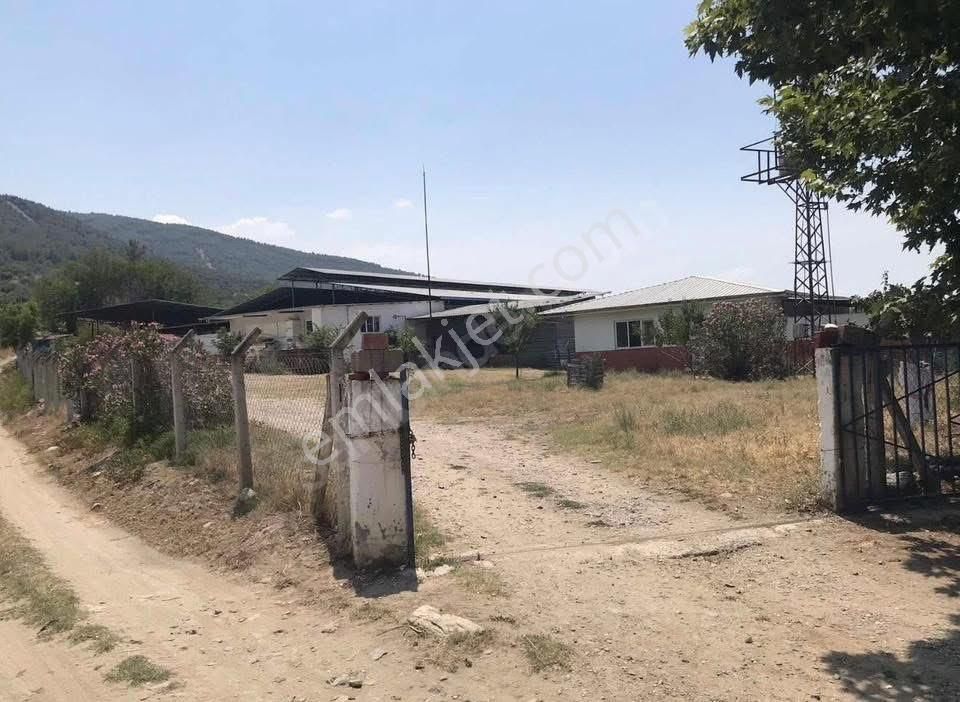 🐄🌿 Aydın / Nazilli Dualar’da Satılık Ruhsatlı Çiftlik 🌿🐄 - Görsel 12