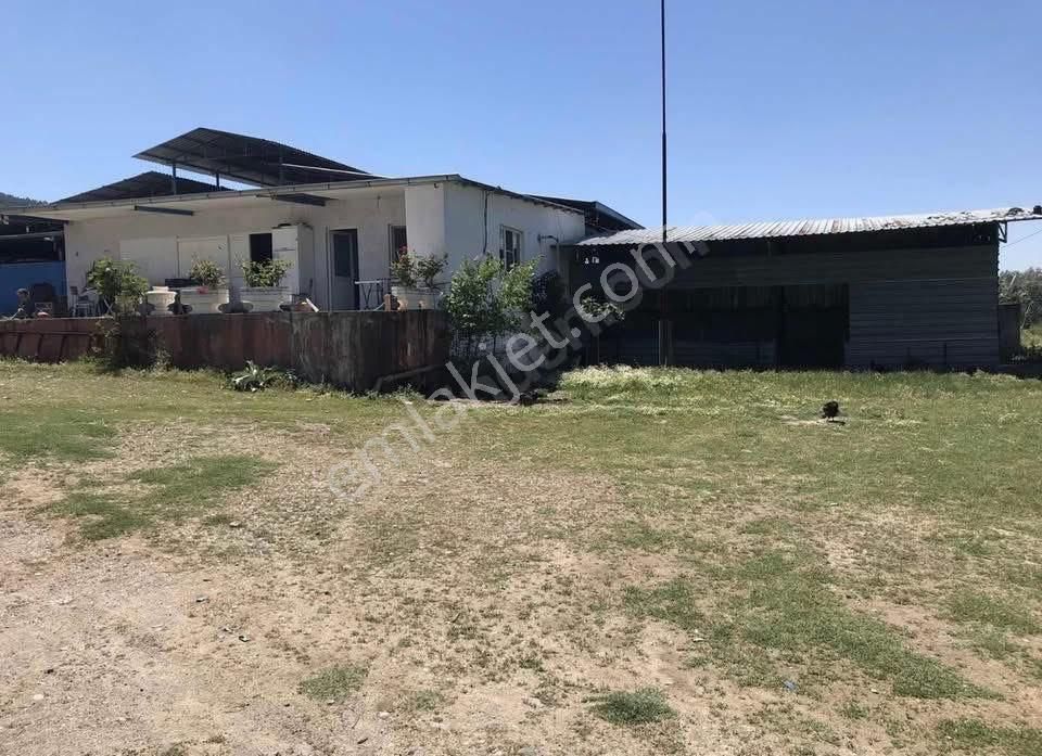 🐄🌿 Aydın / Nazilli Dualar’da Satılık Ruhsatlı Çiftlik 🌿🐄 - Görsel 2