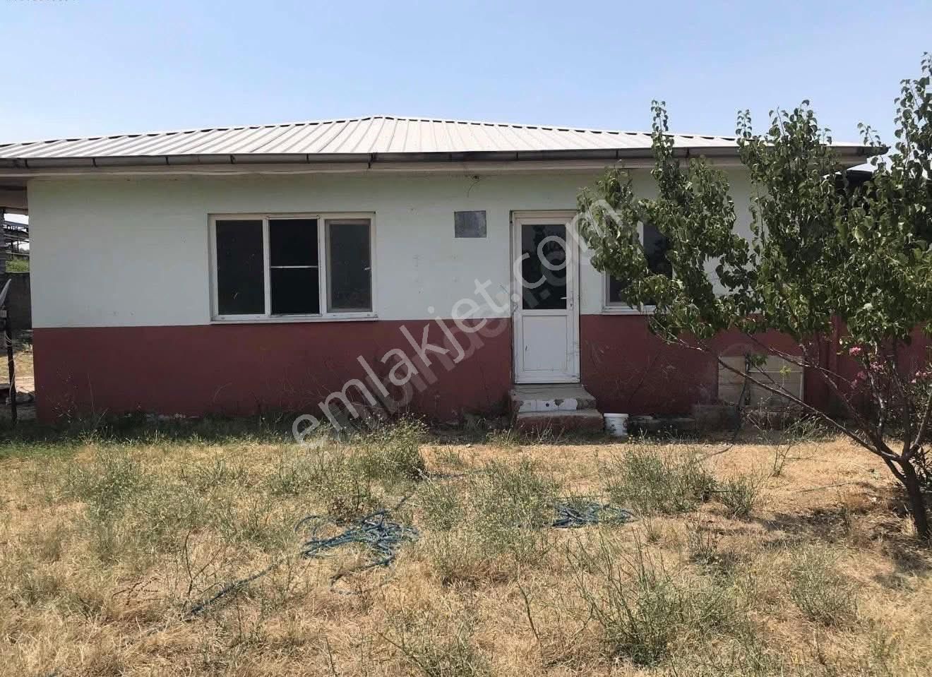 🐄🌿 Aydın / Nazilli Dualar’da Satılık Ruhsatlı Çiftlik 🌿🐄 - Görsel 13