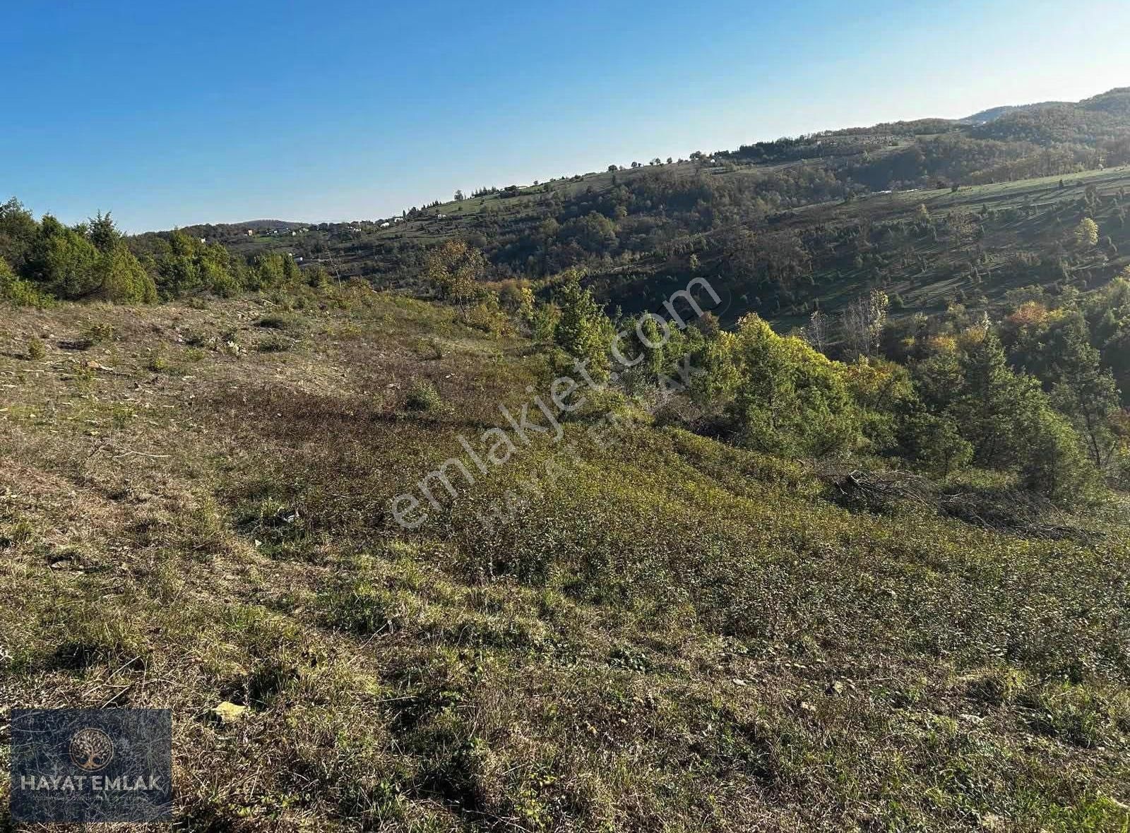 Gebze Duraklı Köyü'nde Satılık Tarla - Görsel 4