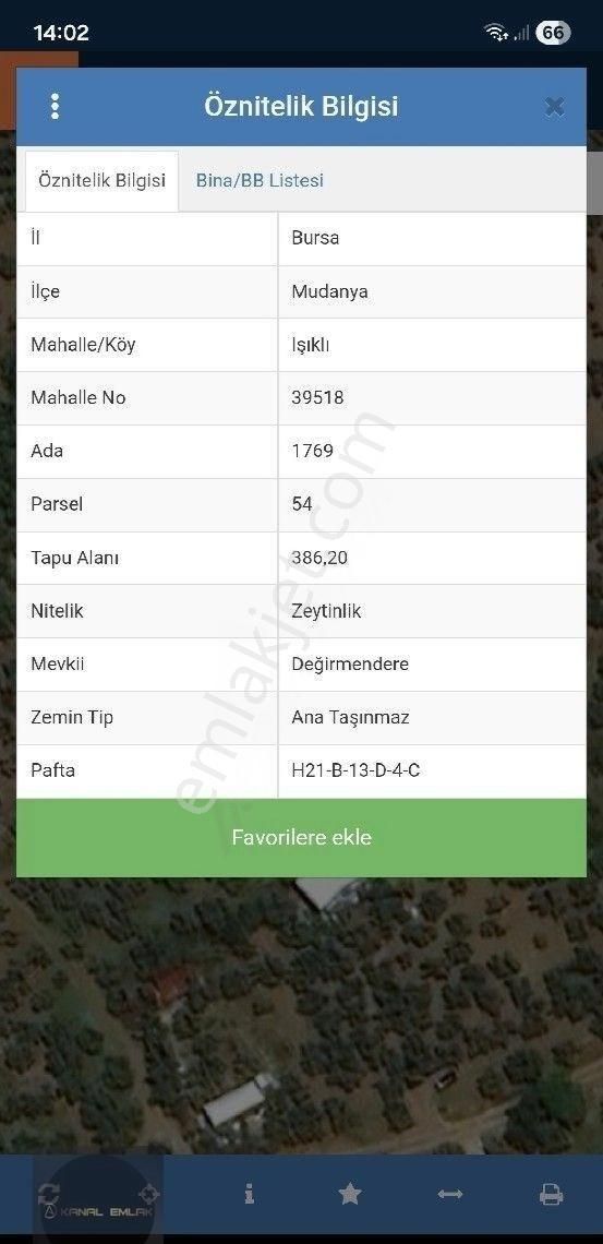 Mudanya Işıklı Köyü Uygun Satılık Zeytinlik - Görsel 2