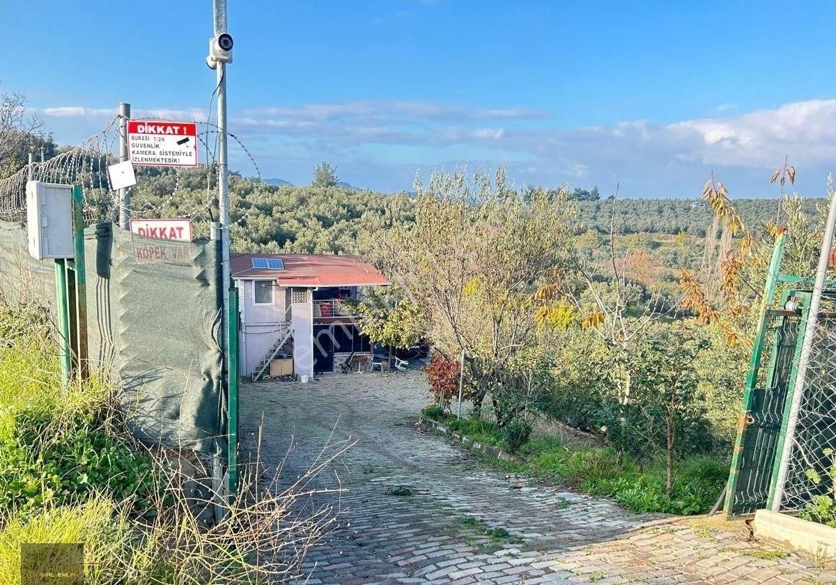Ful Deniz Manzaralı Ev Ve Bahçe - Görsel 17