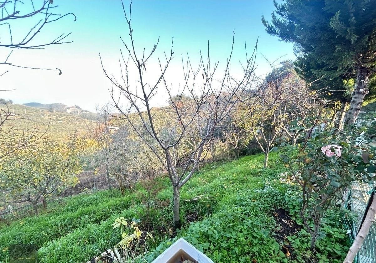 Ful Deniz Manzaralı Ev Ve Bahçe - Görsel 31