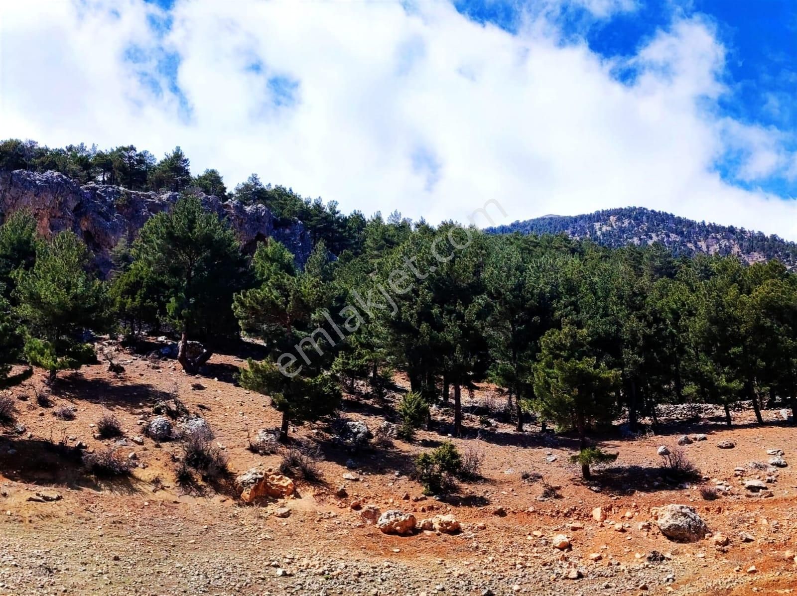 Kar Emlaktan Yenikonacık Bozkırlı Mevkiinde 400 M2 Satılık İmarlı İfrazlı Arsa - Görsel 11