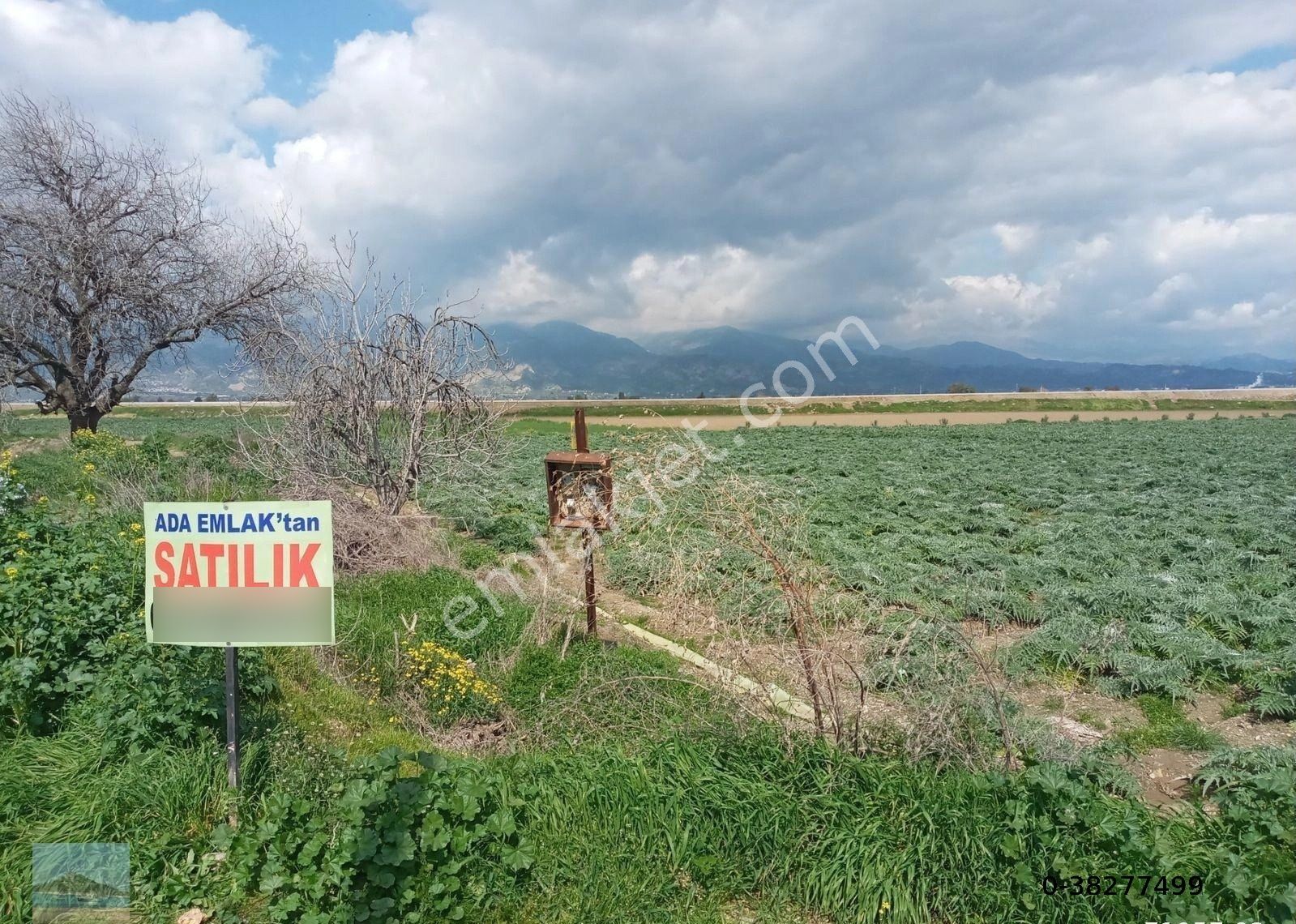 Aydın Merkez Gölhisarda Satılık Müstakil Tapulu 4122 M2 Bahçe Yeni Otobana Yakın - Görsel 5
