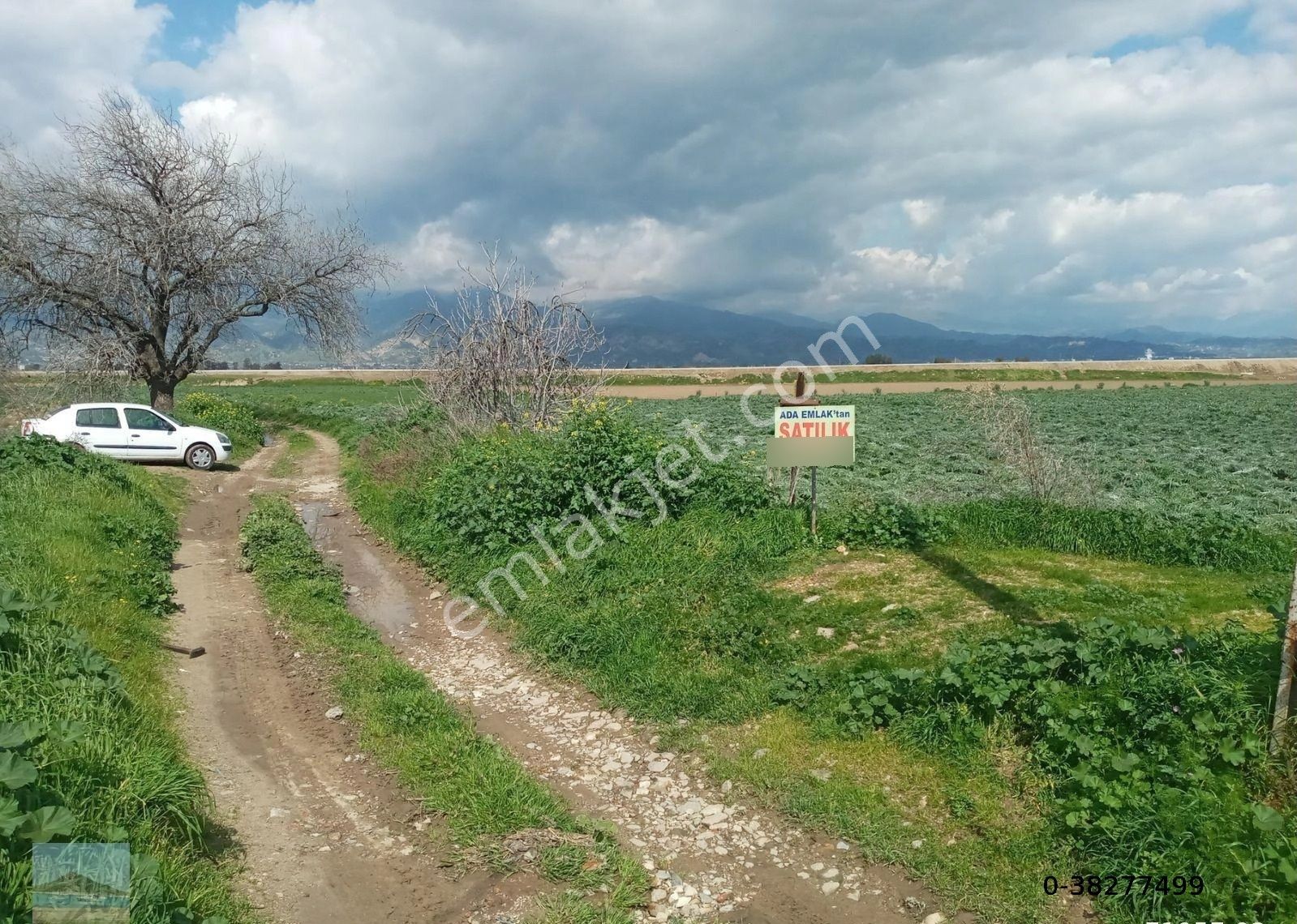 Aydın Merkez Gölhisarda Satılık Müstakil Tapulu 4122 M2 Bahçe Yeni Otobana Yakın