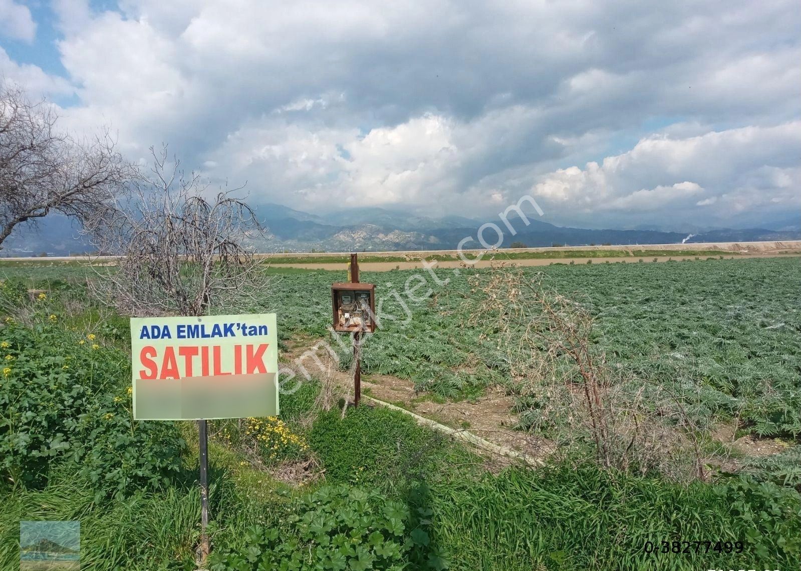 Aydın Merkez Gölhisarda Satılık Müstakil Tapulu 4122 M2 Bahçe Yeni Otobana Yakın - Görsel 15