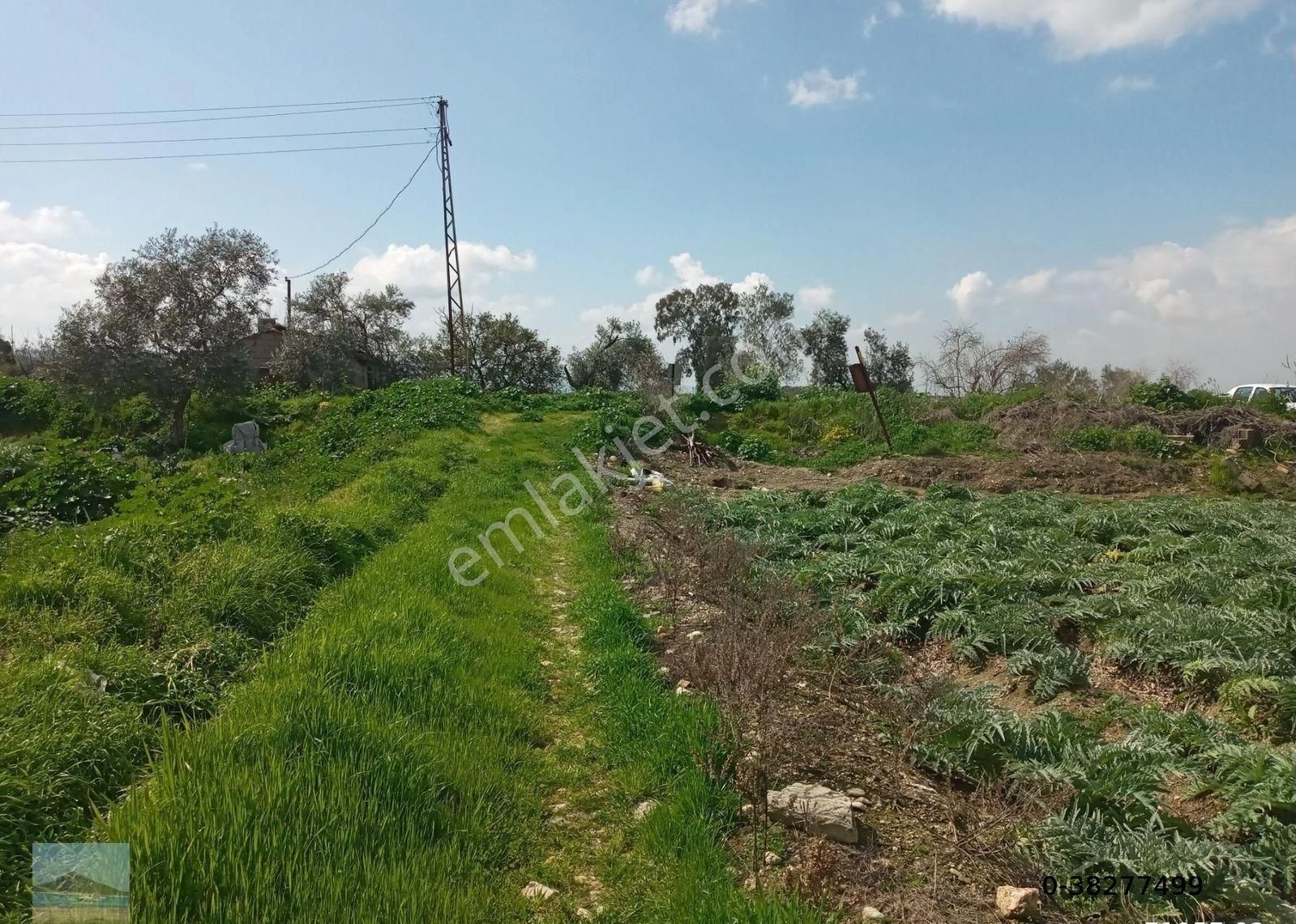 Aydın Merkez Gölhisarda Satılık Müstakil Tapulu 4122 M2 Bahçe Yeni Otobana Yakın - Görsel 21