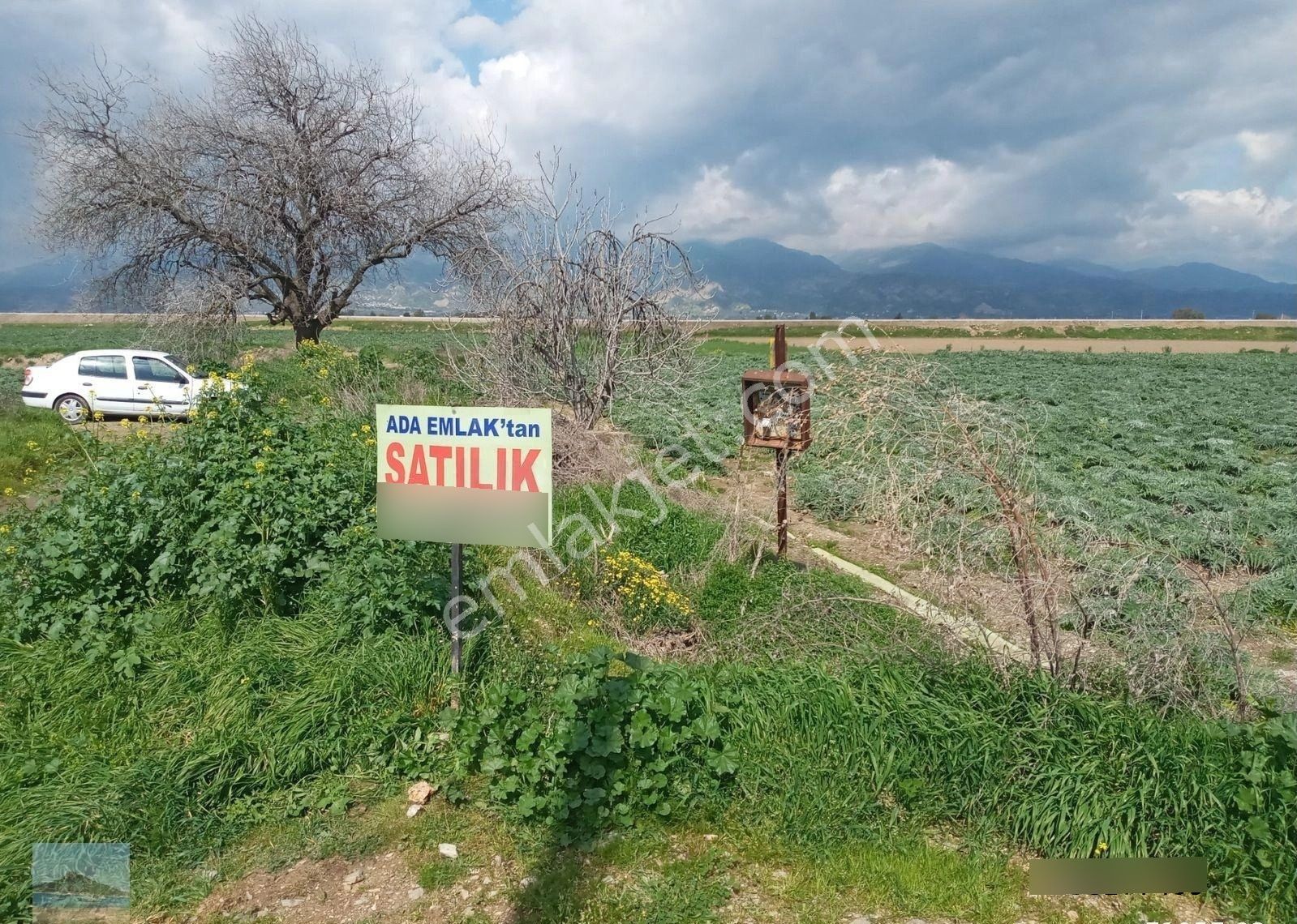 Aydın Merkez Gölhisarda Satılık Müstakil Tapulu 4122 M2 Bahçe Yeni Otobana Yakın - Görsel 16