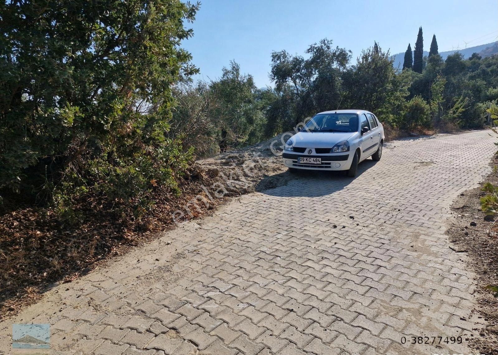 Aydın Söke Argavlıda Satılık 4852 M2 Düz Bahçe Söke Asfaltına 160 Metre Mesafede - Görsel 12