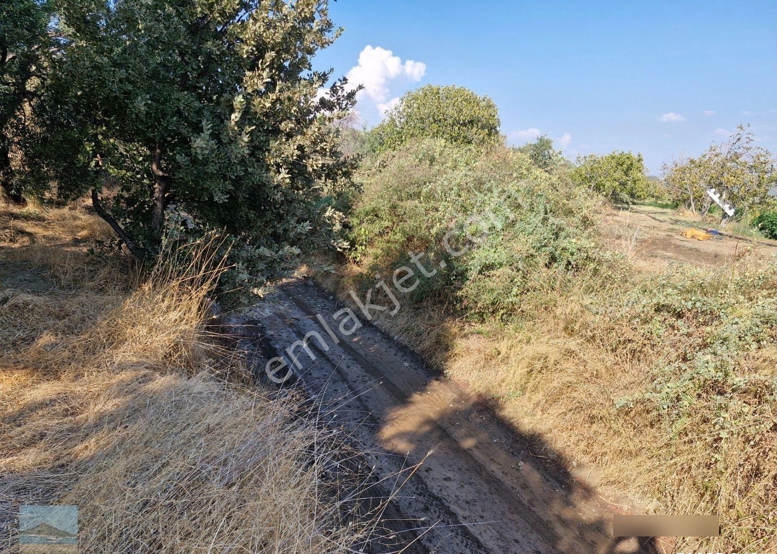 Aydın Söke Argavlıda Satılık 4852 M2 Düz Bahçe Söke Asfaltına 160 Metre Mesafede - Görsel 10