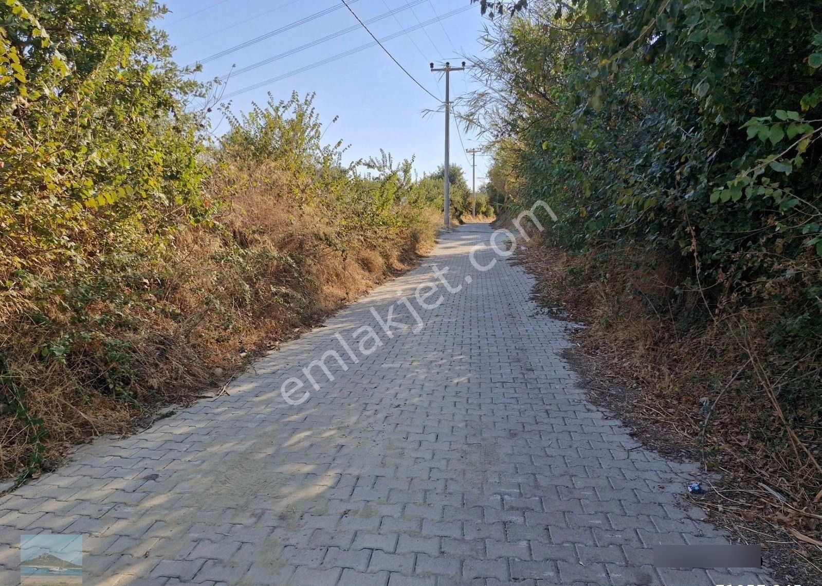 Aydın Söke Argavlıda Satılık 4852 M2 Düz Bahçe Söke Asfaltına 160 Metre Mesafede - Görsel 24