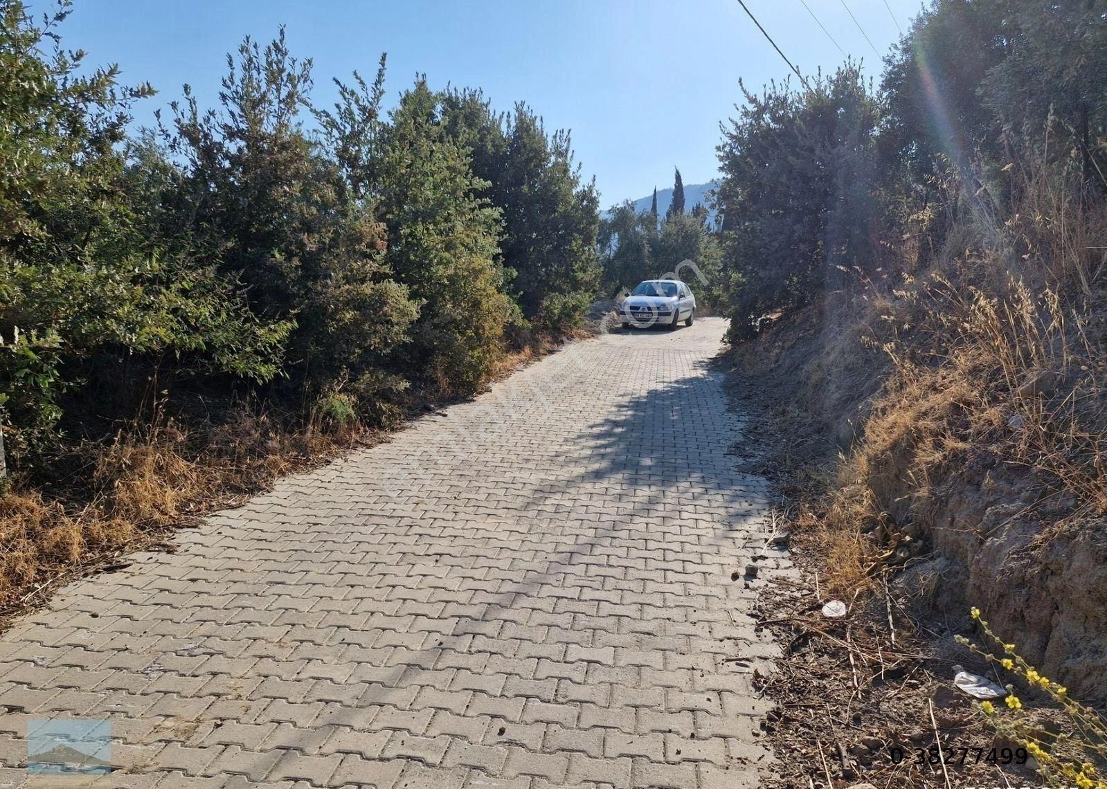 Aydın Söke Argavlıda Satılık 4852 M2 Düz Bahçe Söke Asfaltına 160 Metre Mesafede