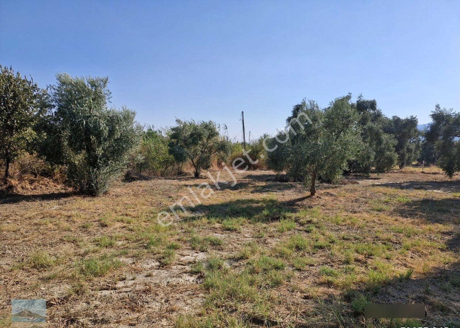 Aydın Söke Argavlıda Satılık 4852 M2 Düz Bahçe Söke Asfaltına 160 Metre Mesafede - Görsel 14