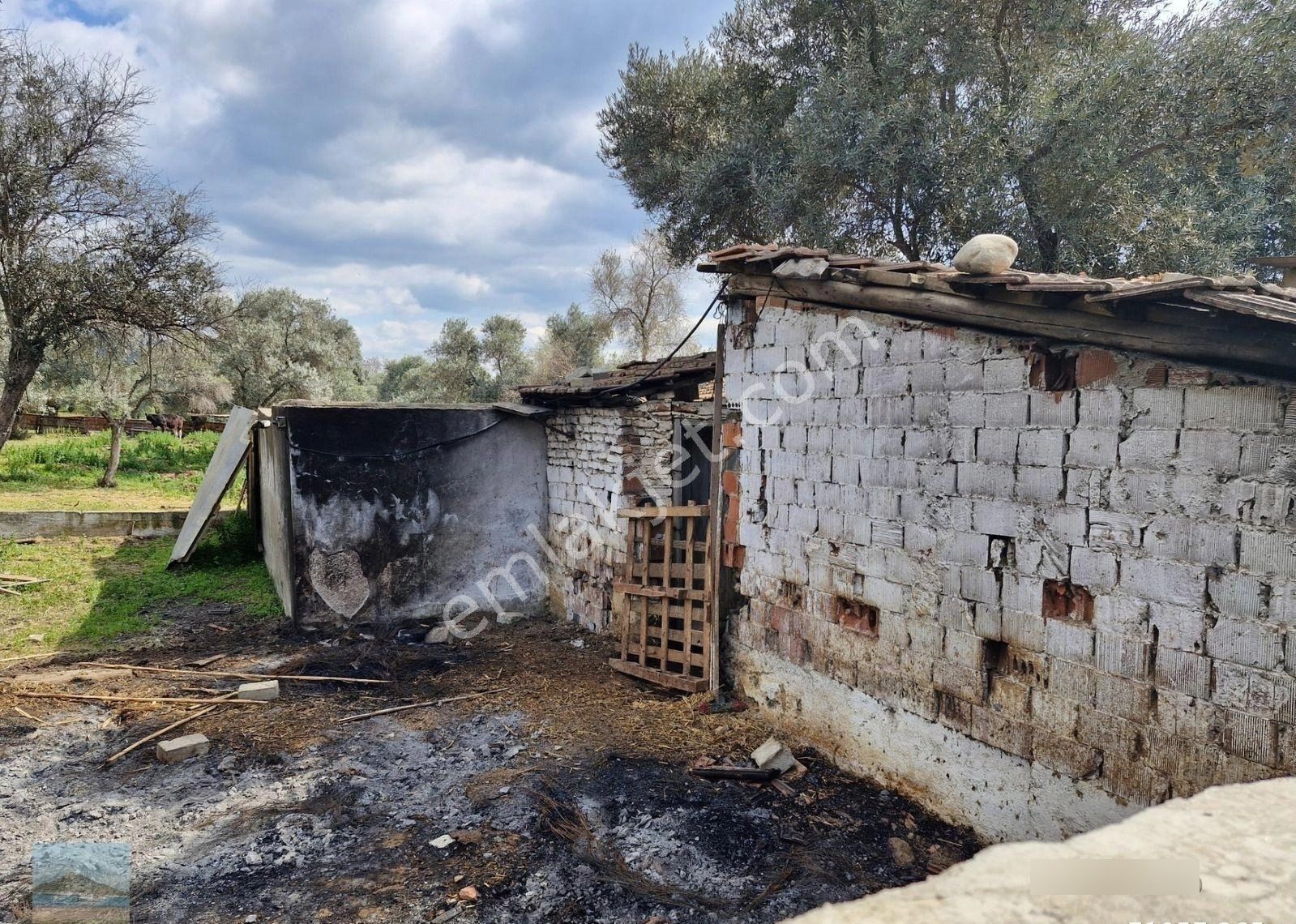 Aydın Merkez Ilıca Başında Satılık İçinde Evi Olan 6705 M2 İmara Çok Yakın Bahçe - Görsel 24