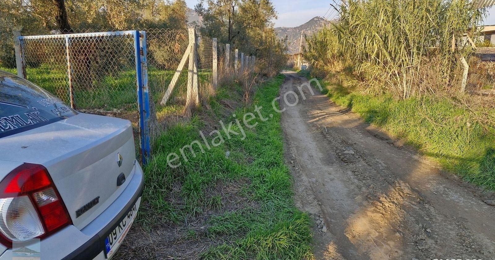 Aydın Germencik Ömerbeyliaydın Merkezde Satılık 7546 M2 Müstakil Tapulu Bahçe - Görsel 18