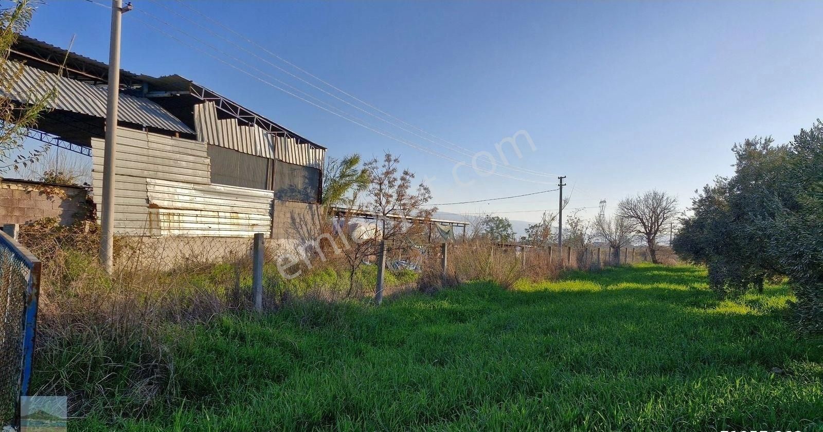 Aydın Germencik Ömerbeyliaydın Merkezde Satılık 7546 M2 Müstakil Tapulu Bahçe - Görsel 30