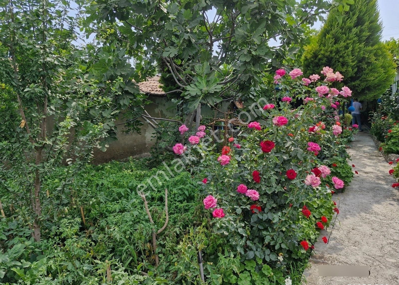 Aydın Merkez Koca Gürde Satılık 590 M2 Bahçe İçinde 3 Yıllık 2+1 Masrafsız 90m2 Yeni Bina - Görsel 16