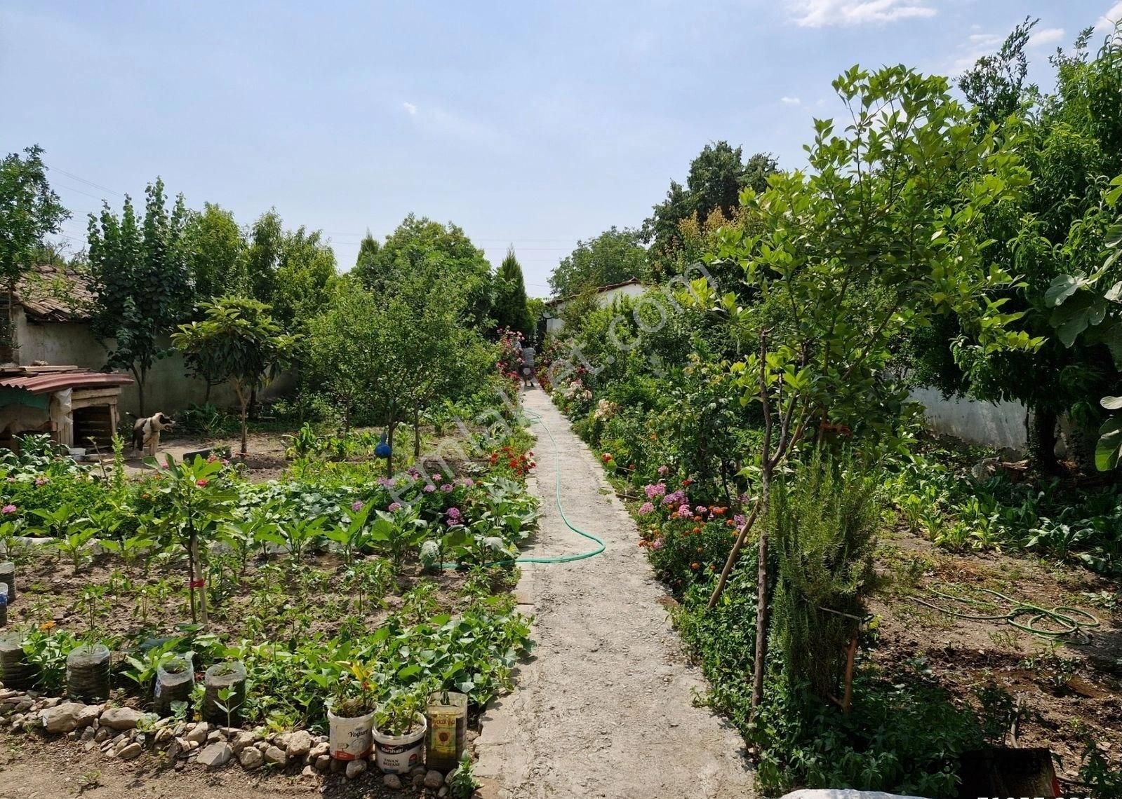 Aydın Merkez Koca Gürde Satılık 590 M2 Bahçe İçinde 3 Yıllık 2+1 Masrafsız 90m2 Yeni Bina - Görsel 19