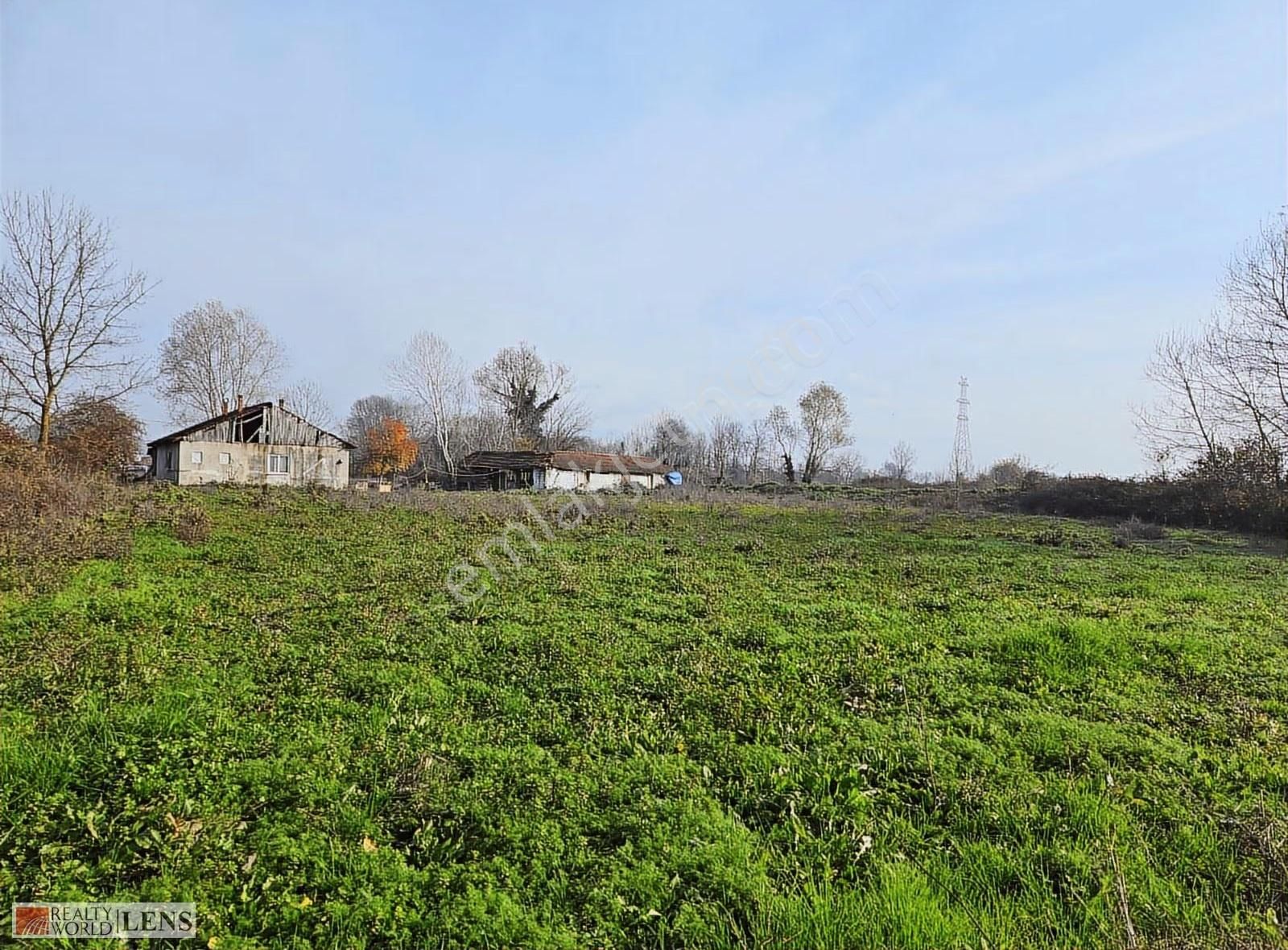 E-5 Ve Kuzey Marmaraya Yakın Mandıraya Lojistiğe Uygun Arazi!! - Görsel 15