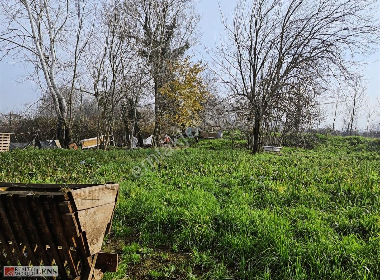 E-5 Ve Kuzey Marmaraya Yakın Mandıraya Lojistiğe Uygun Arazi!! - Görsel 7