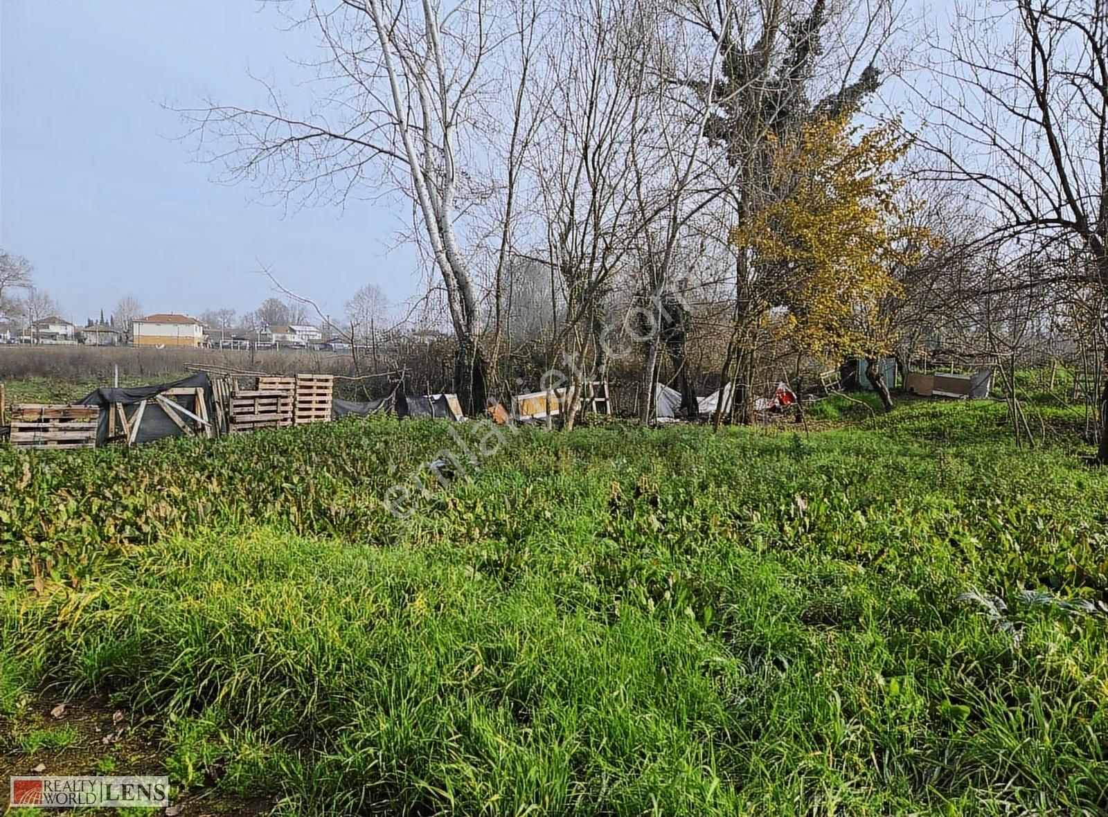 E-5 Ve Kuzey Marmaraya Yakın Mandıraya Lojistiğe Uygun Arazi!! - Görsel 29