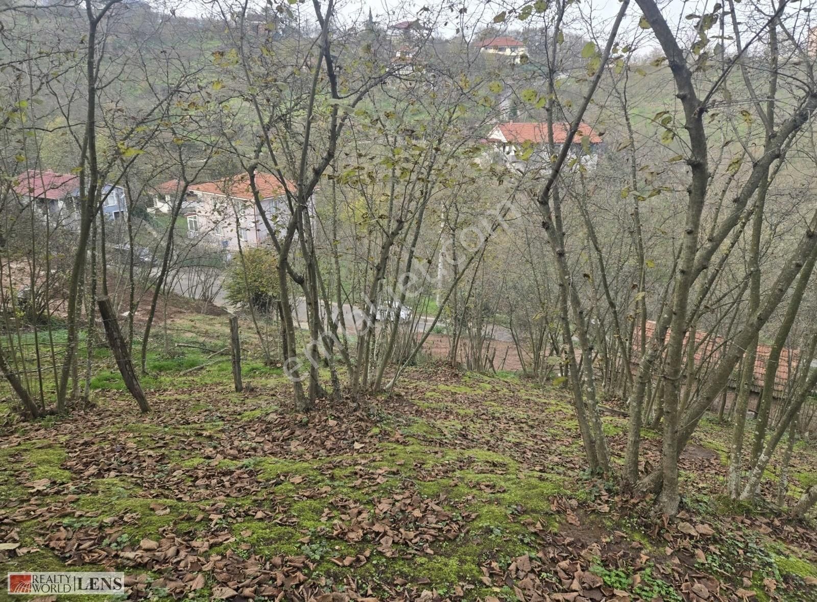 Hendek Dereköyde Fındık Bahçeli Fırsat Müstakil Ev Ve Ahır!! - Görsel 18