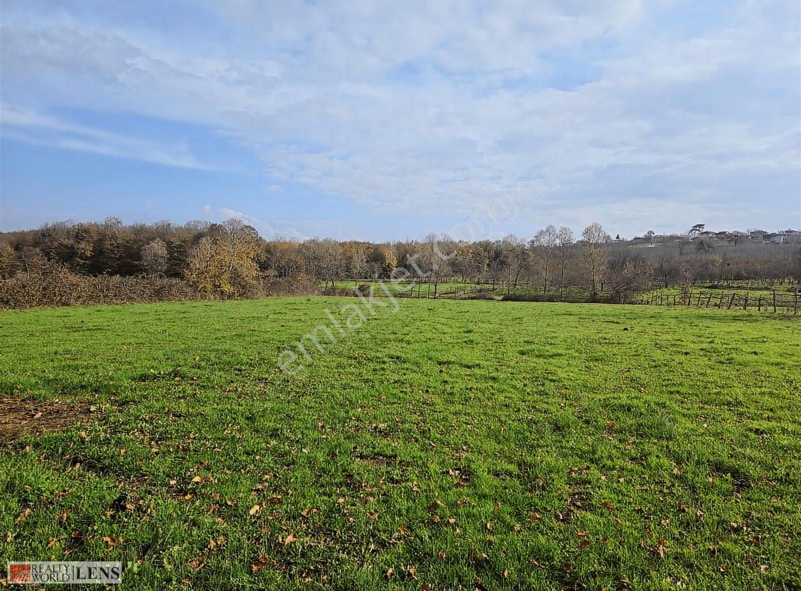 Kaynarca İşaret Köyünde 4.357 M² Yola Cepheli Denize Yakın Arazi - Görsel 8