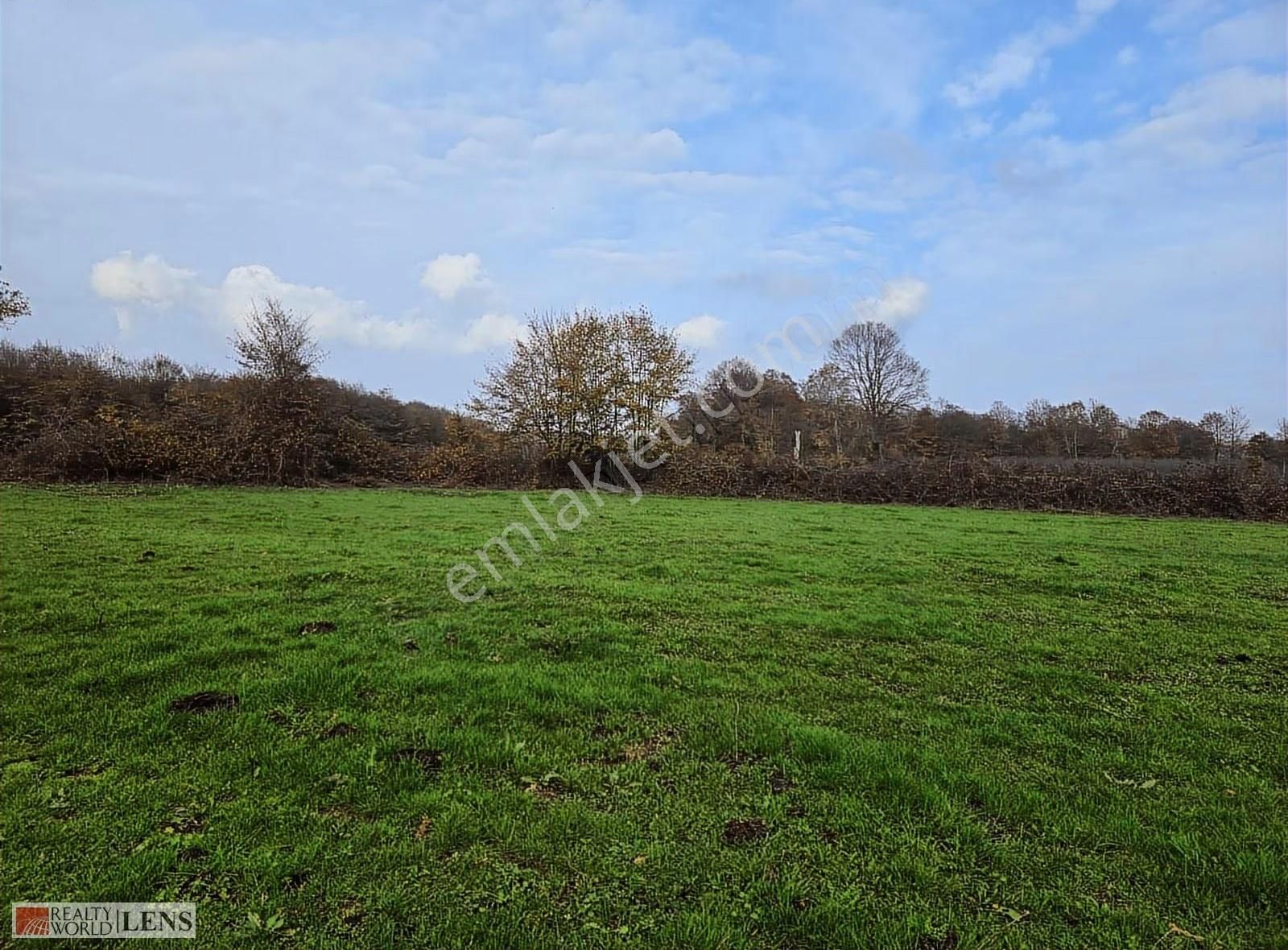 Kaynarca İşaret Köyünde 4.357 M² Yola Cepheli Denize Yakın Arazi - Görsel 13