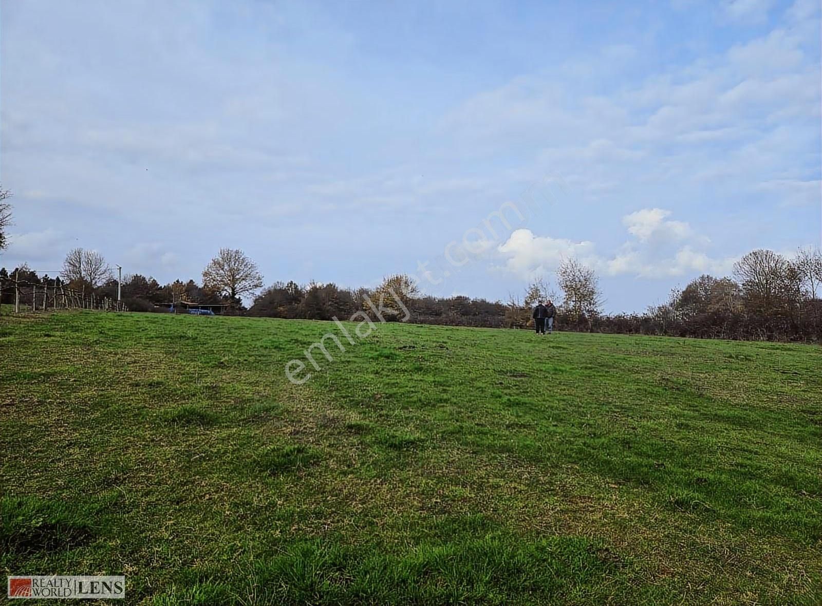 Kaynarca İşaret Köyünde 4.357 M² Yola Cepheli Denize Yakın Arazi - Görsel 9