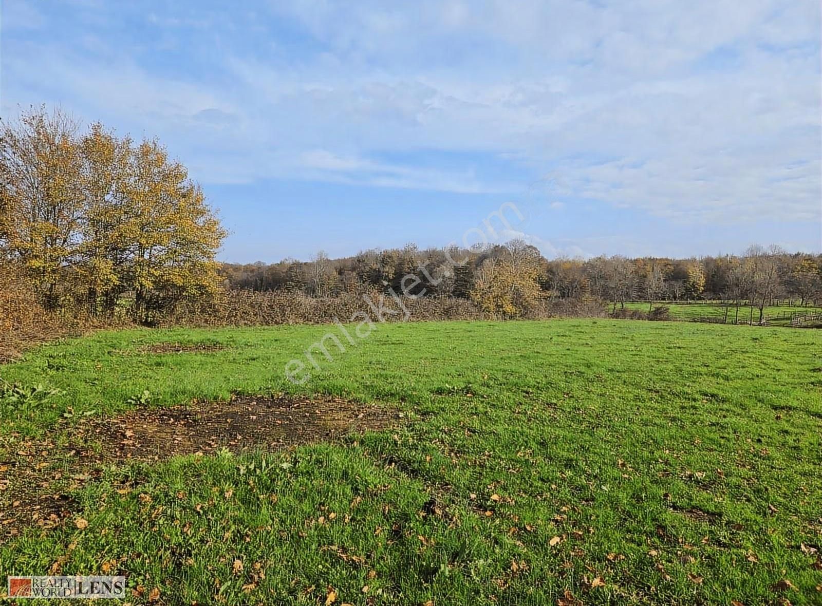 Kaynarca İşaret Köyünde 4.357 M² Yola Cepheli Denize Yakın Arazi - Görsel 10