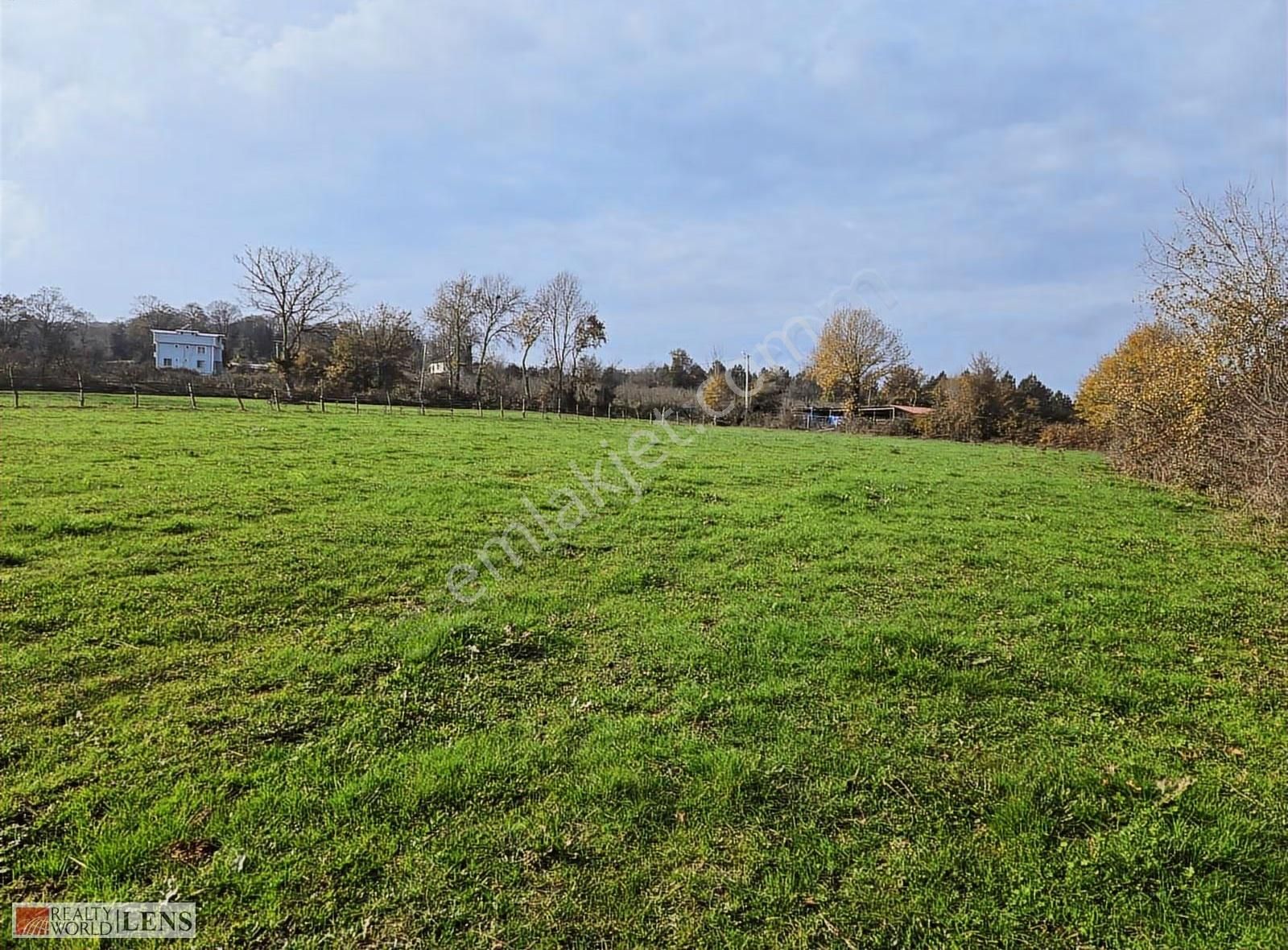 Kaynarca İşaret Köyünde 4.357 M² Yola Cepheli Denize Yakın Arazi - Görsel 24