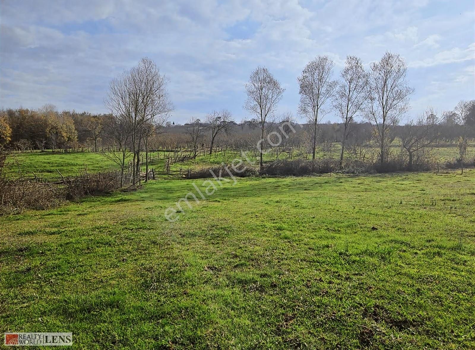 Kaynarca İşaret Köyünde 4.357 M² Yola Cepheli Denize Yakın Arazi - Görsel 27