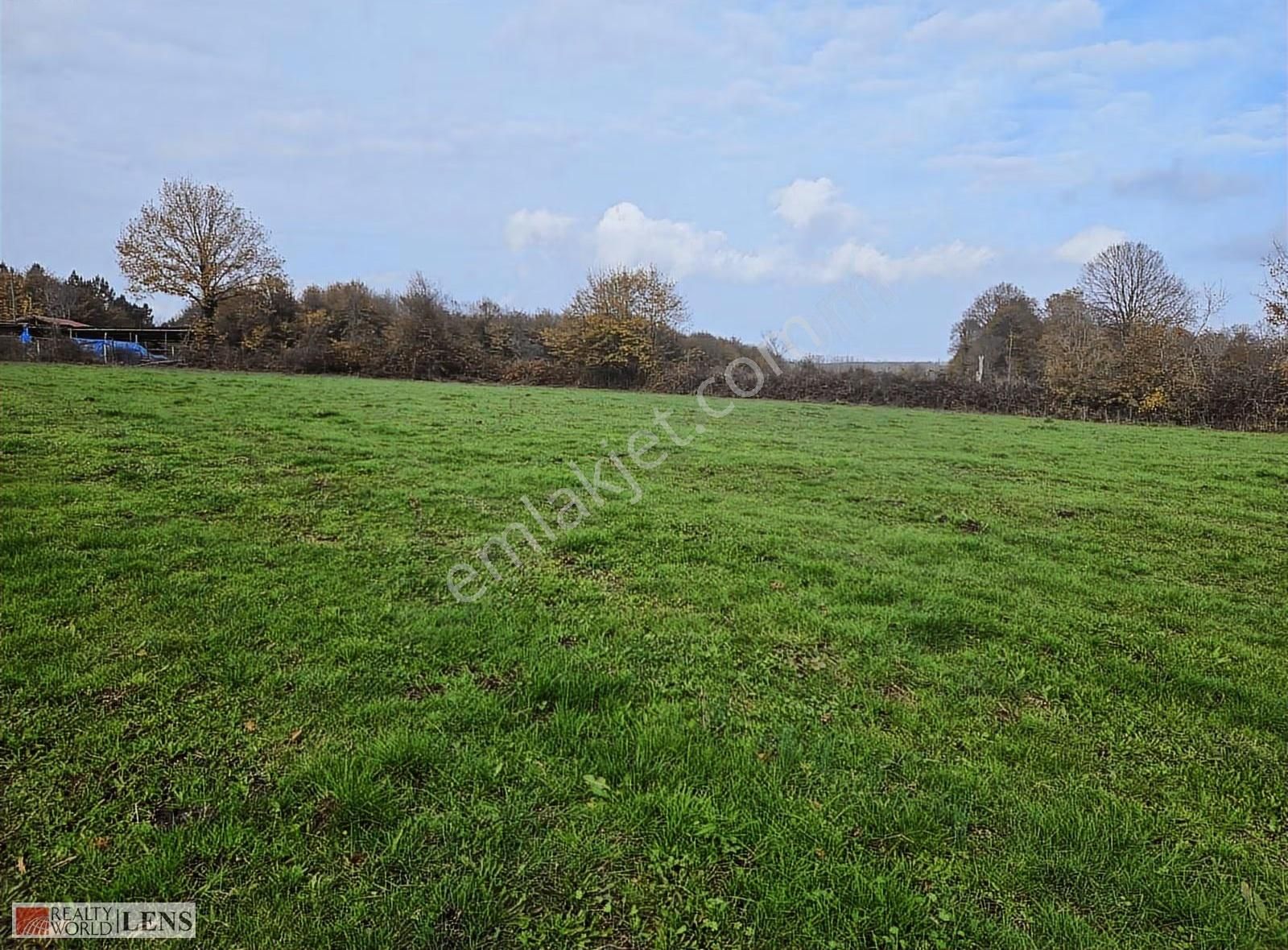 Kaynarca İşaret Köyünde 4.357 M² Yola Cepheli Denize Yakın Arazi - Görsel 16