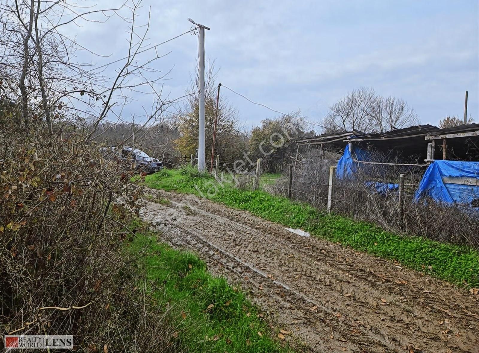 Kaynarca İşaret Köyünde 4.357 M² Yola Cepheli Denize Yakın Arazi - Görsel 31