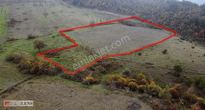 Geyve Merkeze Çok Yakın Fırsat Fiyatlı Tarla - Görsel 21