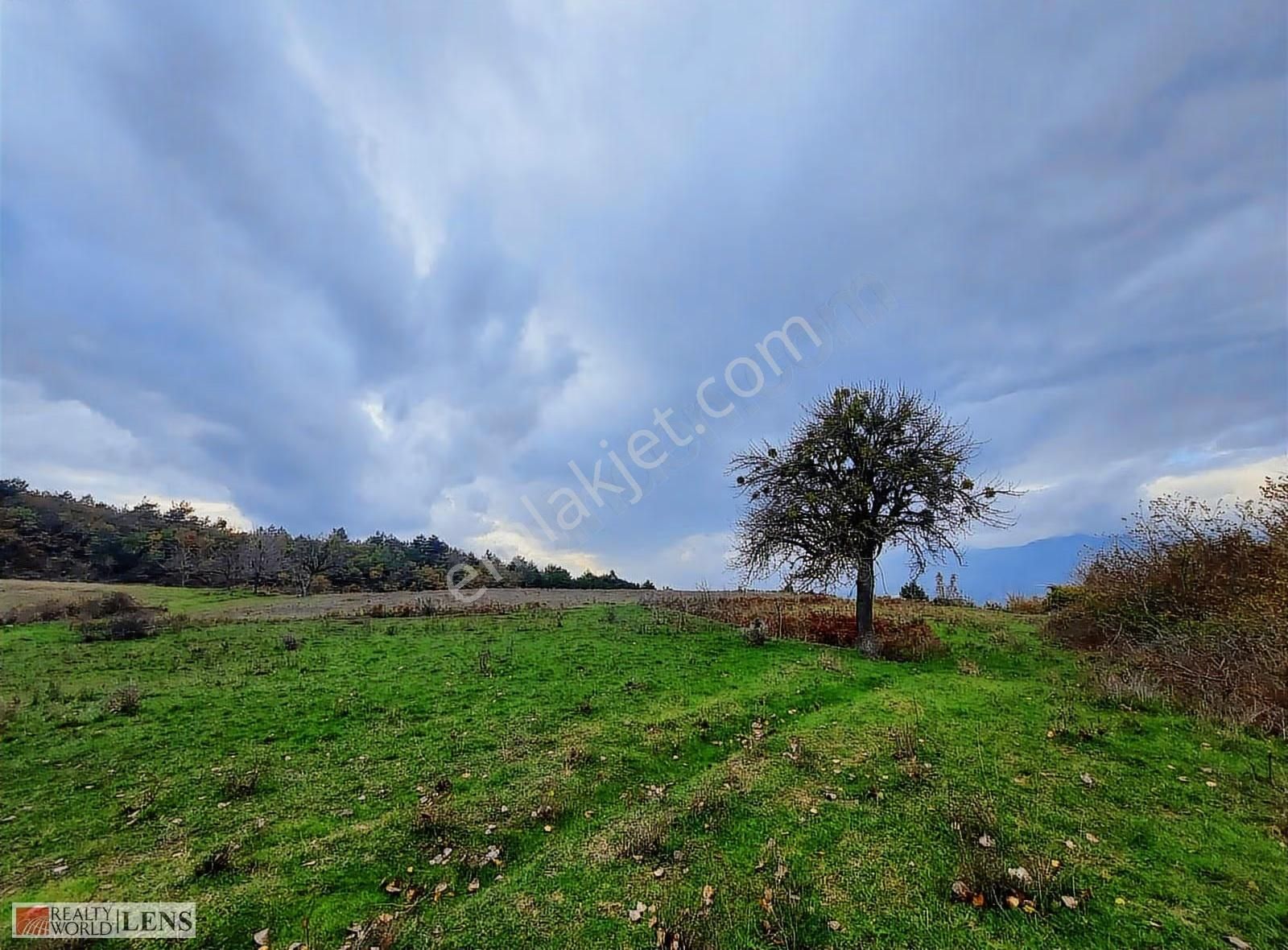 Geyve Merkeze Çok Yakın Fırsat Fiyatlı Tarla - Görsel 25