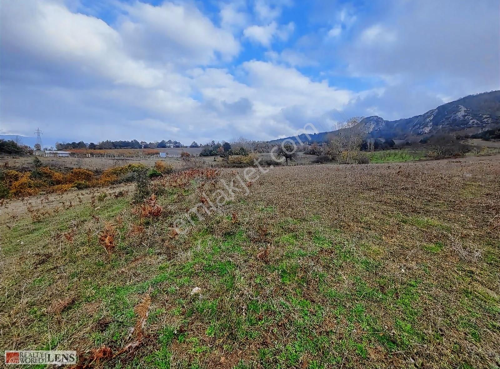 Geyve Merkeze Çok Yakın Fırsat Fiyatlı Tarla - Görsel 2