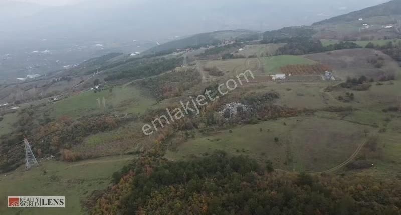 Geyve Merkeze Çok Yakın Fırsat Fiyatlı Tarla - Görsel 24