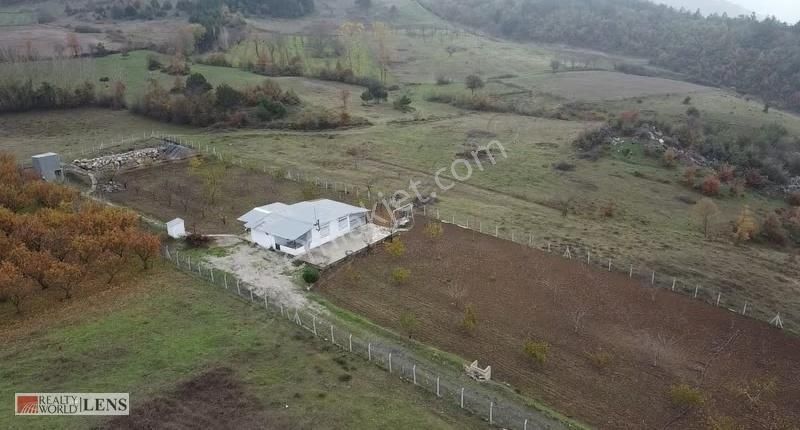 Geyve Merkeze Çok Yakın Fırsat Fiyatlı Tarla - Görsel 12