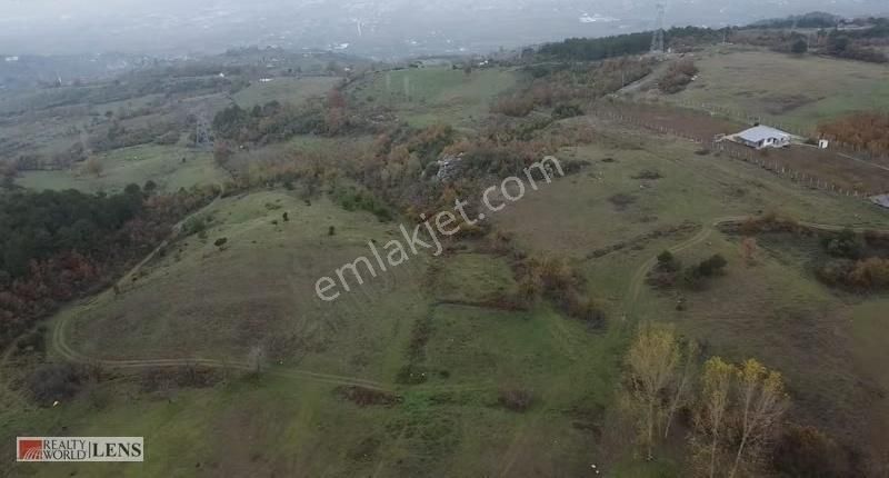 Geyve Merkeze Çok Yakın Fırsat Fiyatlı Tarla - Görsel 6