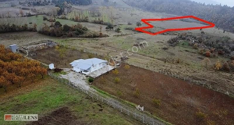 Geyve Merkeze Çok Yakın Fırsat Fiyatlı Tarla - Görsel 3