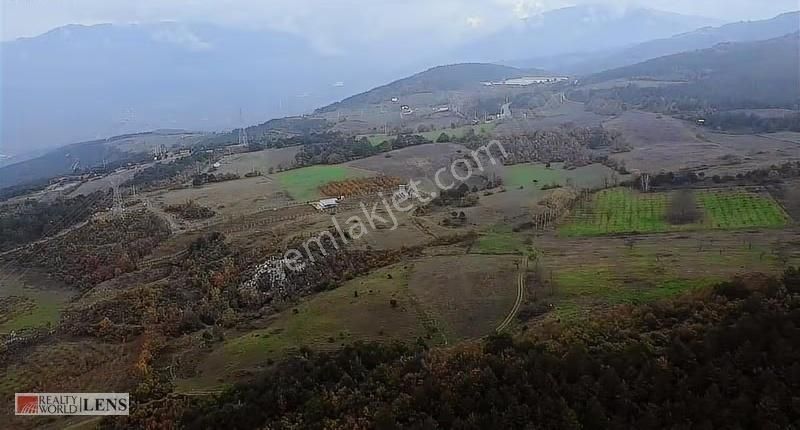 Geyve Merkeze Çok Yakın Fırsat Fiyatlı Tarla - Görsel 4