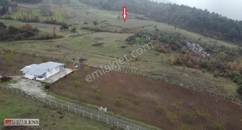 Geyve Merkeze Çok Yakın Fırsat Fiyatlı Tarla - Görsel 11