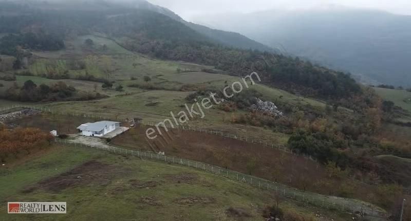 Geyve Merkeze Çok Yakın Fırsat Fiyatlı Tarla - Görsel 19