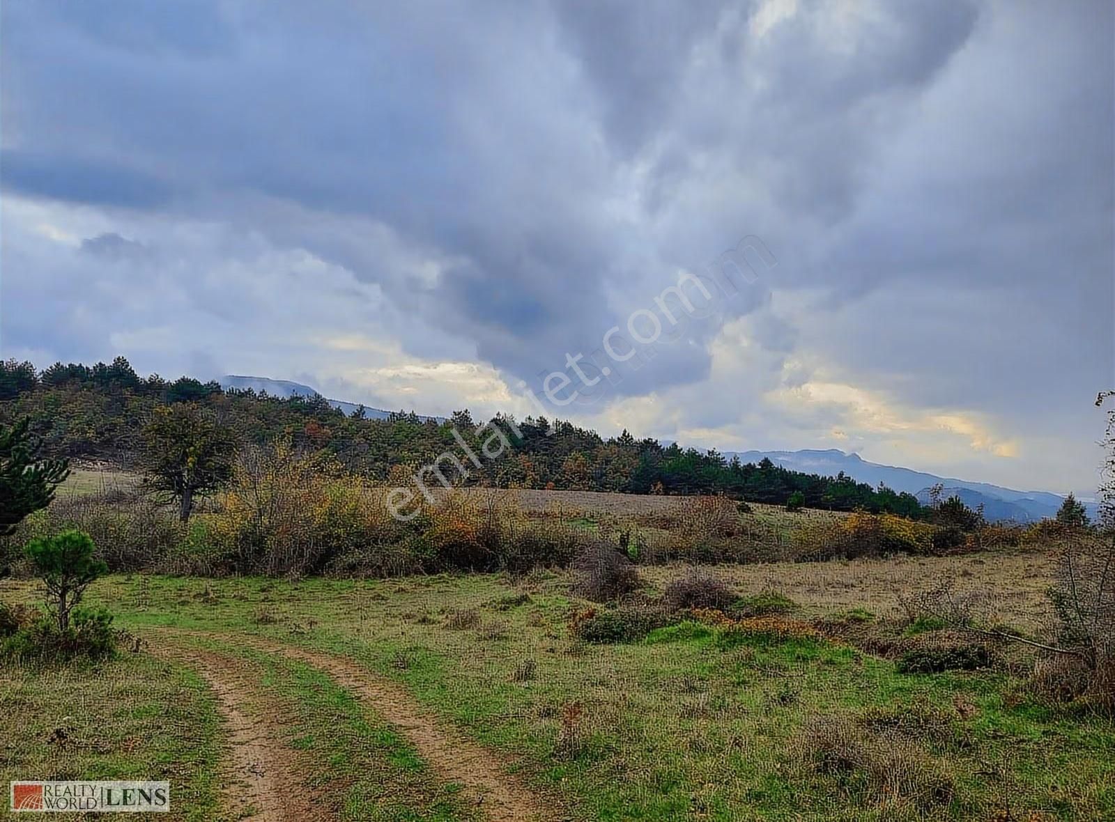 Geyve Merkeze Çok Yakın Fırsat Fiyatlı Tarla - Görsel 29