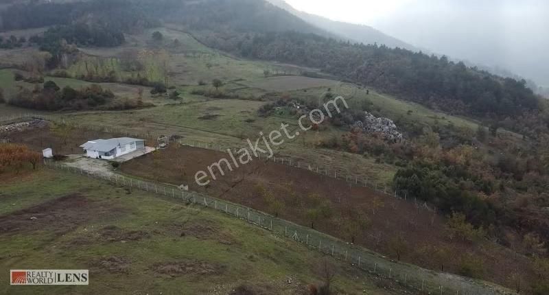 Geyve Merkeze Çok Yakın Fırsat Fiyatlı Tarla - Görsel 7