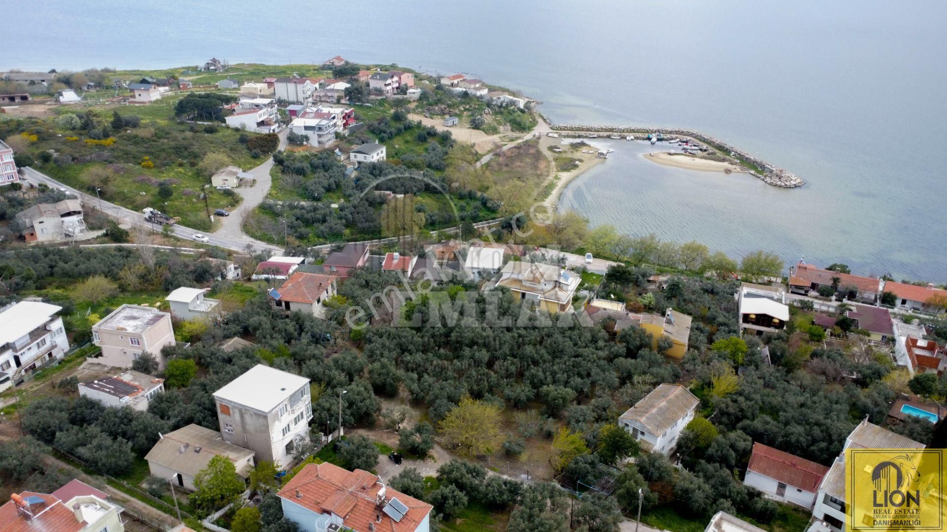 🟨⬛ Lıon Emlak'tan Aşağıyapıcı Mahallesinde 2317 M² Fırsat Arazi⬛🟨 - Görsel 17