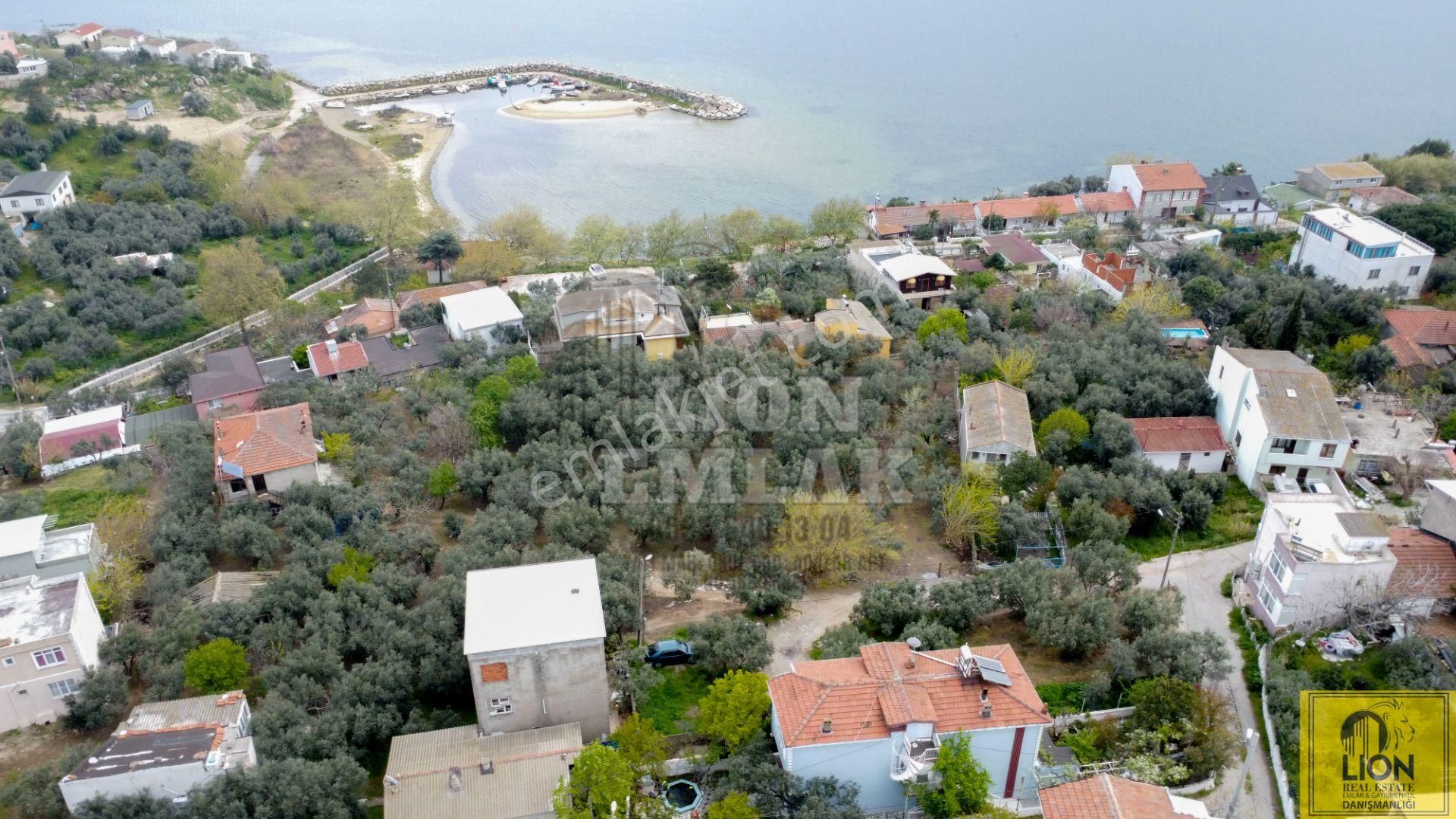 🟨⬛ Lıon Emlak'tan Aşağıyapıcı Mahallesinde 2317 M² Fırsat Arazi⬛🟨 - Görsel 11