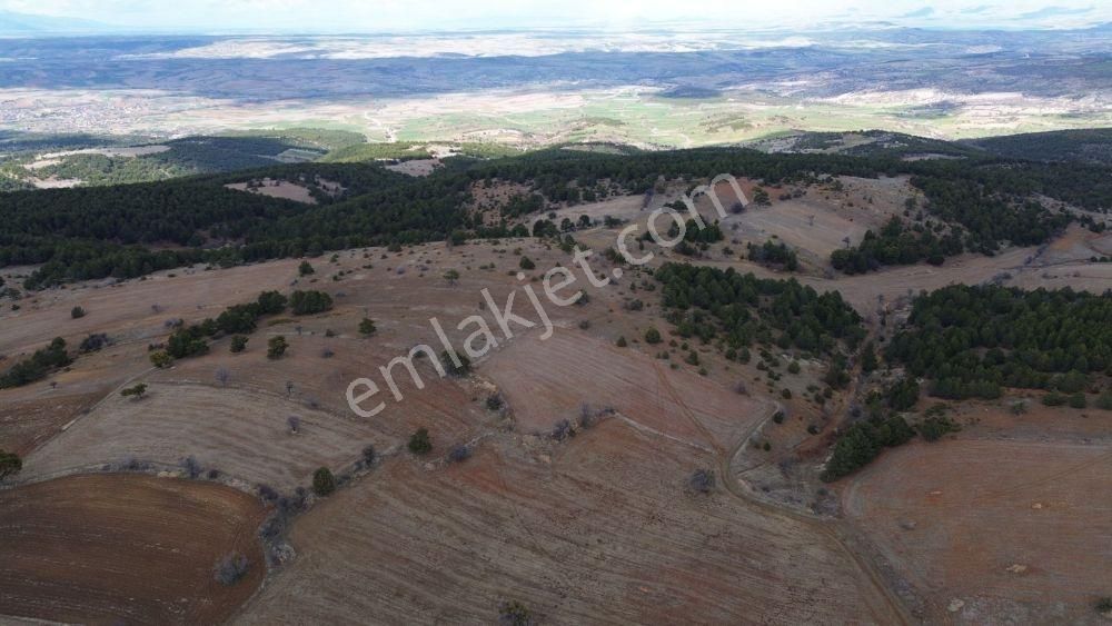 Ilgın Yukarıçiğilde 10.969 M2 Müstakil Tapulu Tarla - Görsel 5
